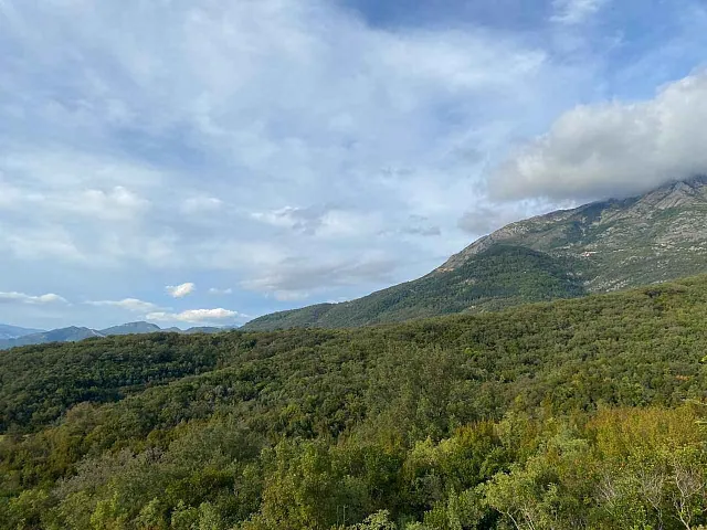 Land in Radanovići 506 m² — photo 5